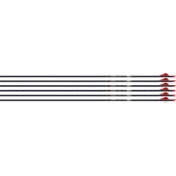 Easton Arrow 5Mm Fmj 400 W/ Ho 6-Pack W/ 2" Blazer Vanes