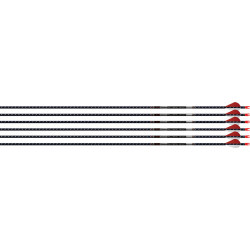 Easton Arrow 5Mm Fmj 300 6-Pack W/ 2" Blazer Vanes