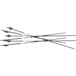 Easton Arrow Fmj 5Mm 400 W/ 2" Blazer Vanes 6-Pack