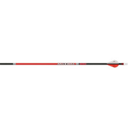 Carbon Express Arrow Maxima Red 350 W/2" Vanes 6Pk