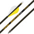 Gold Tip Arrow Hunter Pro 340 2" Raptor Vanes 6pk