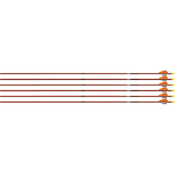 Easton Arrow Fmj 5Mm 340 W/ 2" Bully Vanes 6-Pack Autumn Org