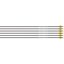 Easton Arrow Sonic 6.0 300 W/2" Bully Vanes 6-Pack