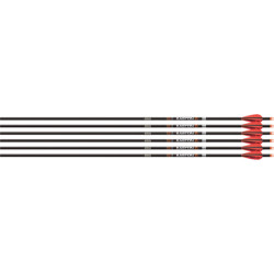 Easton Arrow 6.5Mm Match Grade 340 W/3" Aae Hybrid Vanes 6Pk