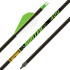 Gold Tip Arrow Hunter Xt 300 2" Raptor Vanes 6pk