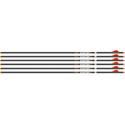 Easton Arrow 6.5Mm Hunter Clsc 300 W/2" Bully Vanes 6-Pack