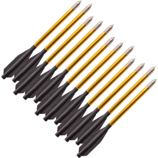 Bear-X Desire Crossbow Bolts 12Pk, AVXA12P, 754806303697