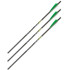 Allen Xbow Arrow 20" Cx600 3" Vanes Moon Nock 3Pk