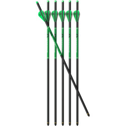 Centerpoint Xbow Arrow 20" Cp400 Carbon 6Pk