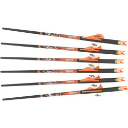 Ravin Xbow Arrow Carbon W/2" Offset Vanes 400Gr .003" 6Pk