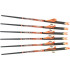 Ravin Xbow Arrow Carbon W/2" Offset Vanes 400Gr .003" 6Pk