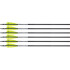 Tenpoint Xbow Arrow 20" Evo-X Center Punch Alpha Nock Hp 6Pk