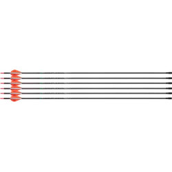 Victory Archery Vap Tko Gamer 400 Arrow Fletched 6Pk