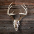 Mountain Mike'S Snow Camo Deer Skull Master Kit