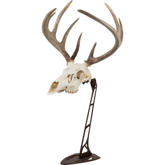 Allen Ez Mount Centerpiece Skull Stand Brown, 7226, 026509075073