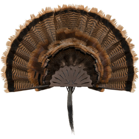 Allen Ez Mount Turkey Fan Display Brown, 7238, 026509075189