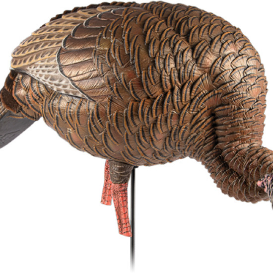 Avian X Hdr Feeding Hen Decoy, AVXAVX8107, 082271001818