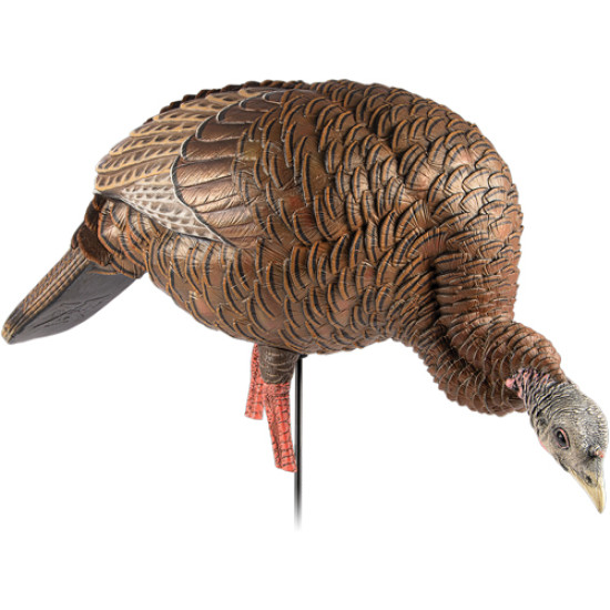 Avian X Hdr Feeding Hen Decoy, AVXAVX8107, 082271001818