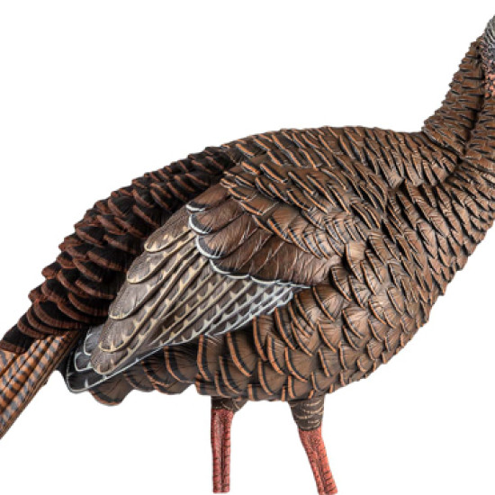 Avian X Hdr Hen Decoy, AVXAVX8106, 082271001696