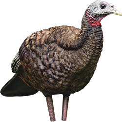 Avian X Lcd Breeder Hen Decoy