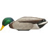 Avian X Power Shaker Mallard Drake Surface Feeder Decoy