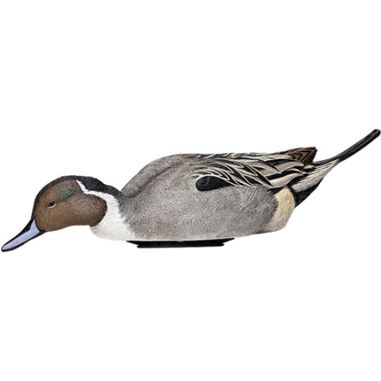 Avian X Power Shaker Pintail Surface Feeder Decoy, AVXPSHPNSF, 888151047552