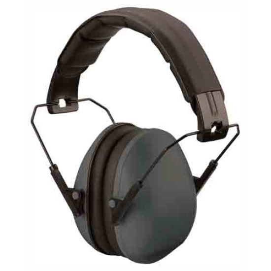 Champion Slim Ear Muffs Passive 21Db Black, 40971, 076683409713