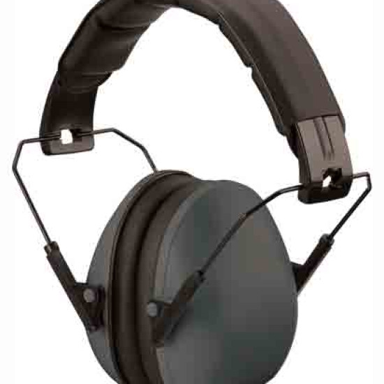 Champion Slim Ear Muffs Passive 21Db Black, 40971, 076683409713