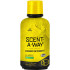 HS Clothing Wash Scent-A-Way 18Fl Oz Fall Blend