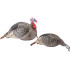 HS Strut Turkey Decoy Combo Hen/Jake Strut-Lite