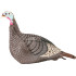 HS Strut Turkey Decoy Hen Strut-Lite