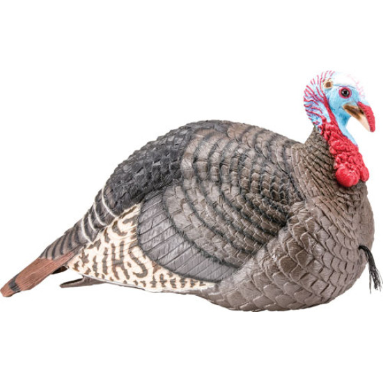 HS Strut Turkey Decoy Jake Strut-Lite, HS-100003, 021291000067