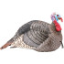 HS Strut Turkey Decoy Jake Strut-Lite