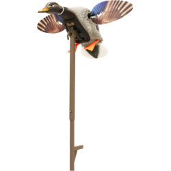 Mojo Elite Series Mini Mallard Drake Decoy