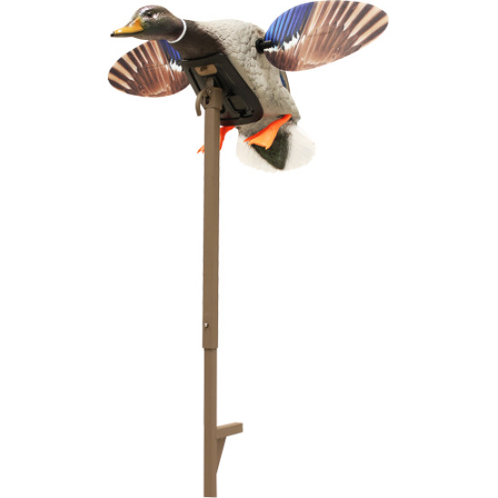 Mojo Elite Series Mini Mallard Drake Decoy, HW24703P, 816740004563