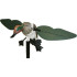 Mojo Green Wing Teal Decoy