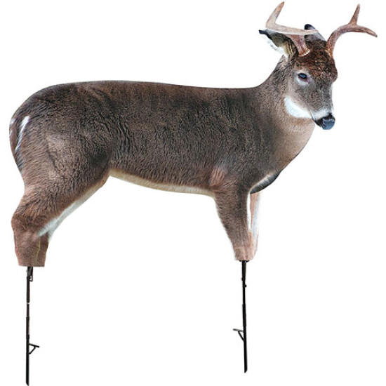 Montana Decoy Deer The Freshman Buck, 46, 851234000461