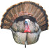 Montana Decoy Turkey Gobbler Fanatic 2D