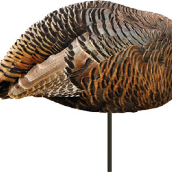 Montana Decoy Turkey Hen Dinner Beele, 43, 851234000430