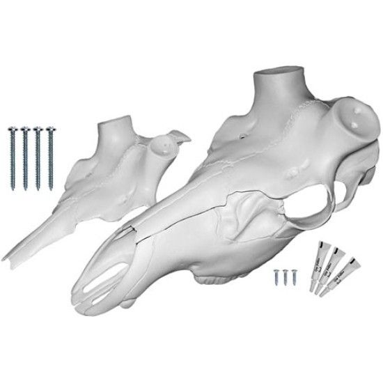 Mountain Mike'S Elk Skull Master Universal Kit, MMRESM, 094922363749