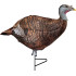 Primos Turkey Decoy Photoform Leading Hen