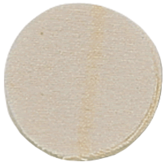 CVA Cleaning Patches 2" Dia. 200 Pack, AC1455B, 043125124558